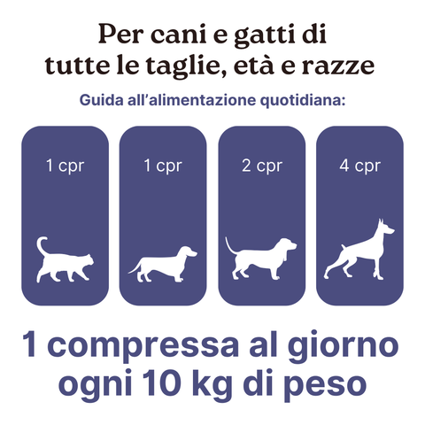 ArtoPet Difesa