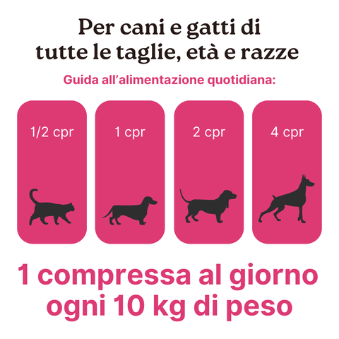 Longevity Pet HairSkinPet | Integratore per pelo folto e brillante cane e gatto | Supporto per la perdita di pelo e per la muta