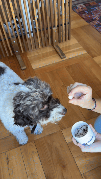 Longevity Pet ArtoPet Difesa | Integratore per articolazioni e ossa cane e gatto | Indicato contro artrosi e displasia dell’anca
