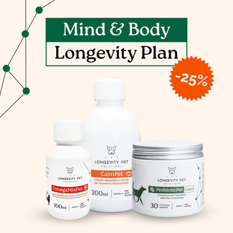 Mind & Body Longevity Plan