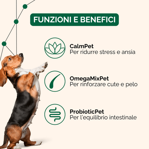 Mind & Body Longevity Plan