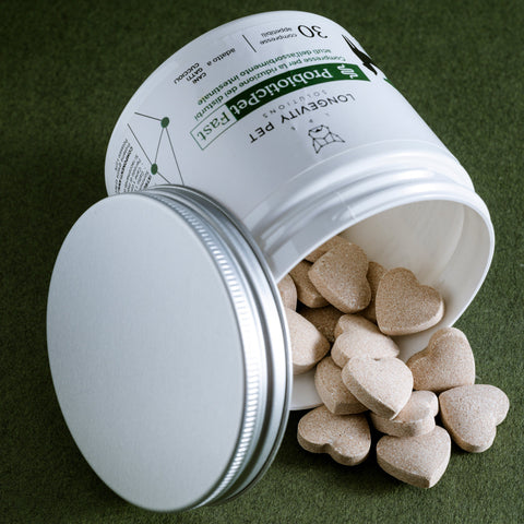 ProbioticPet Fast