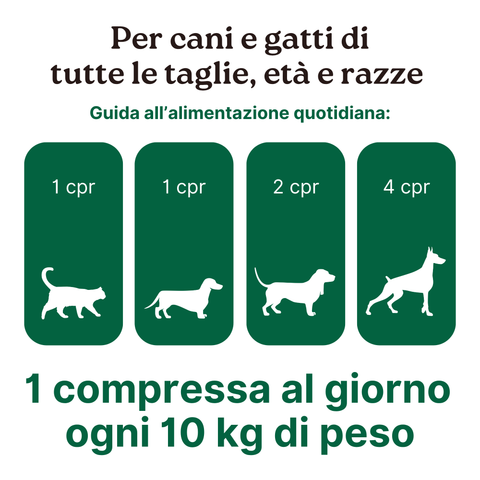 ProbioticPet Fast