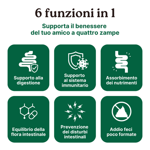 Longevity Pet ProbioticPet Gatto | Integratore probiotico per l'equilibrio intestinale | Benessere intestinale del gatto