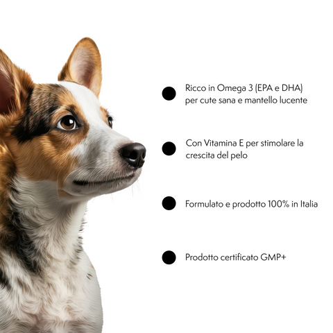 Longevity Pet HairSkinPet Liquid | Integratore per pelo folto e brillante cane e gatto | Supporto per la perdita di pelo e per la muta