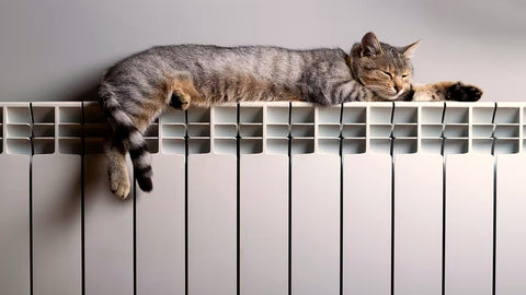 Gatto disteso su un termosifone acceso in una giornata fredda