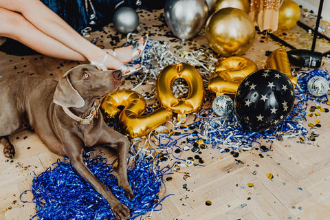 Capodanno e fuochi d’artificio? Niente ansia e stress: scopri il nuovo CalmPet Soft Chews per la tranquillità del tuo Pet!