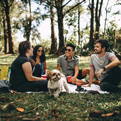 Come abituare il cane agli estranei e  migliorare la socializzazione