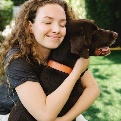 Come prendersi cura di un Labrador Retriver