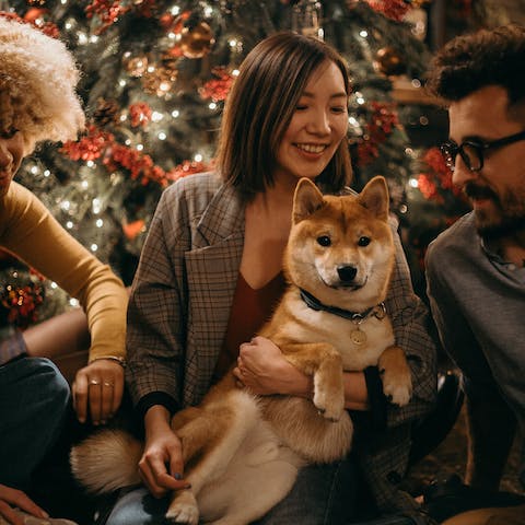 Come godersi le festività natalizie con il proprio cane