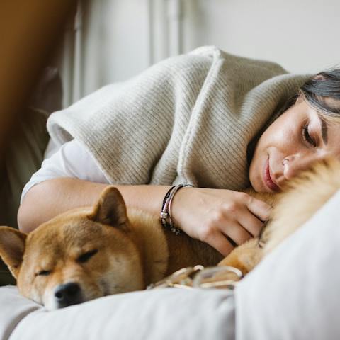 Le malattie invernali dei cani: cause e rimedi