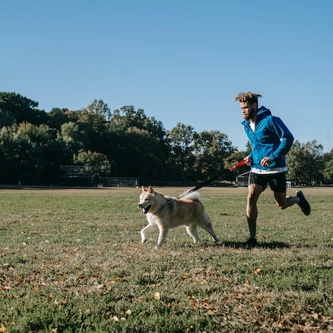 Obesità del cane: come aiutare il tuo pet a perdere peso