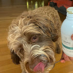 Foto prodotto ricevuto