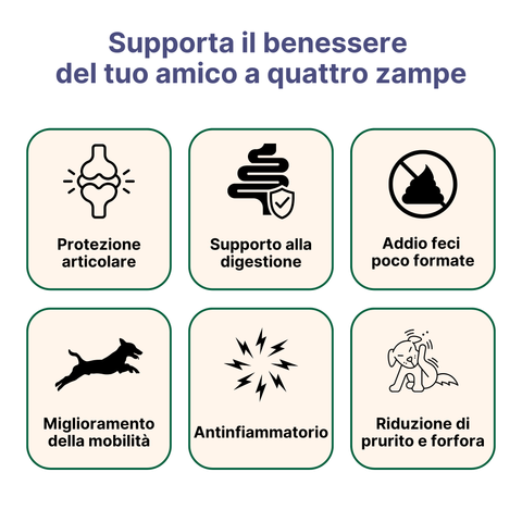 Kit Cane Taglia Grande: Movimento & Digestione | ArtoPet Difesa + ProbioticPet Cane Maxi