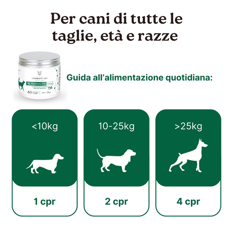 Kit Cane Taglia Grande: Movimento & Digestione | ArtoPet Difesa + ProbioticPet Cane Maxi