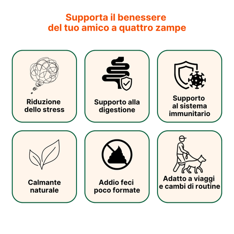 Kit Estate - Soluzione Intestino & Stress | CalmPet + ProbioticPet Cane
