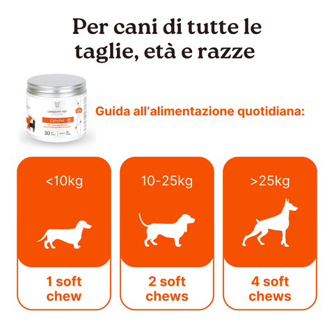 Kit Estate - Soluzione Intestino & Stress | CalmPet + ProbioticPet Cane