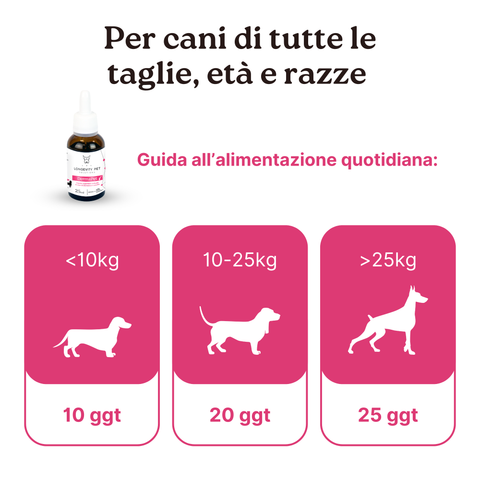 Soluzione Prurito da Stress Cane | CalmPet + ProbioticPet Cane + DermaPet