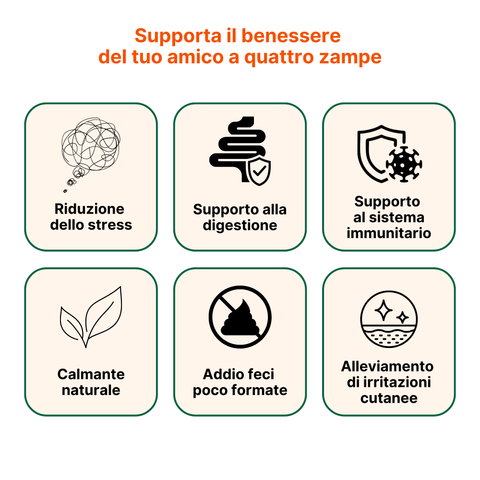 Soluzione Prurito da Stress Gatto | CalmPet + ProbioticPet Cane + DermaPet