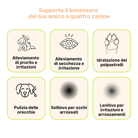 Longevity Pet Kit Cura e Benessere per cani