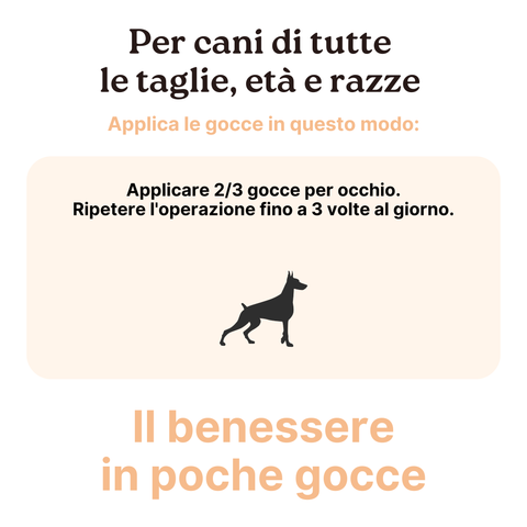 Longevity Pet Kit Cura e Benessere per cani