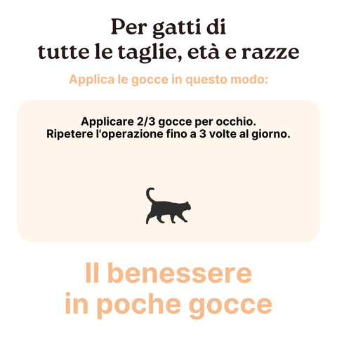 Longevity Pet Kit Cura e Benessere per gatti