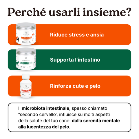 Kit Serenità & Intestino | CalmPet + OmegaMixPet + ProbioticPet Cane