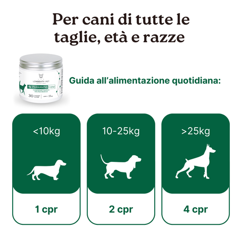 Kit Serenità & Intestino | CalmPet + OmegaMixPet + ProbioticPet Cane