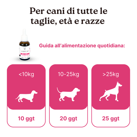 Kit Intestino & Cute | ProbioticPet Cane + DermaPet