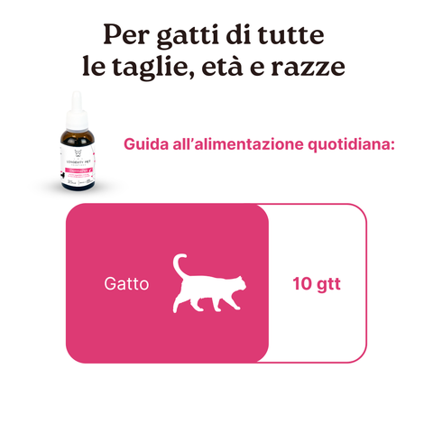 Kit Intestino & Cute | ProbioticPet Gatto + DermaPet