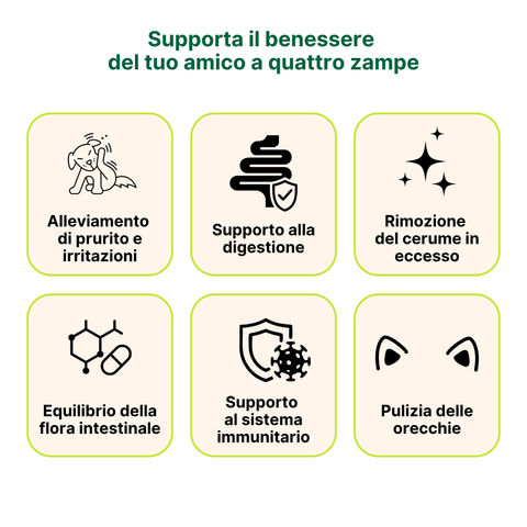 Longevity Pet Kit Igiene & Benessere Intestinale per Gatti