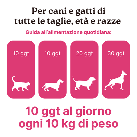 DermaPet