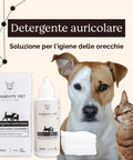 Detergente auricolare