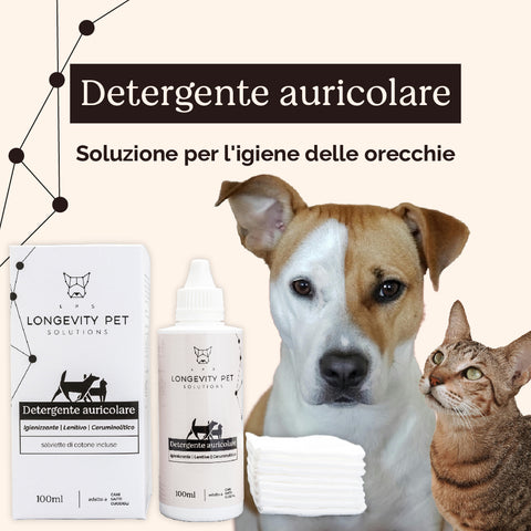 Detergente auricolare