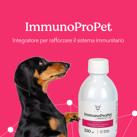 LongevityPet ImmunoProPet integratore 100% olio di salmone cane e gatto 250ml
