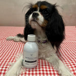 Foto prodotto ricevuto