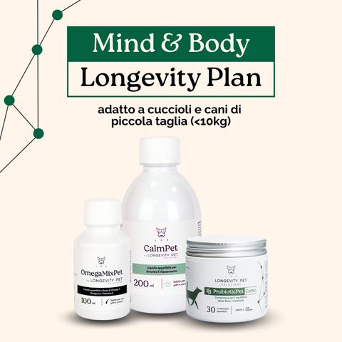 Mind & Body Longevity Plan