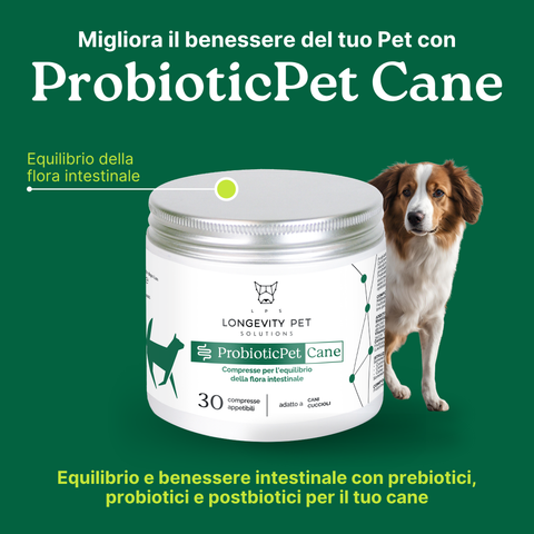 ProbioticPet Cane