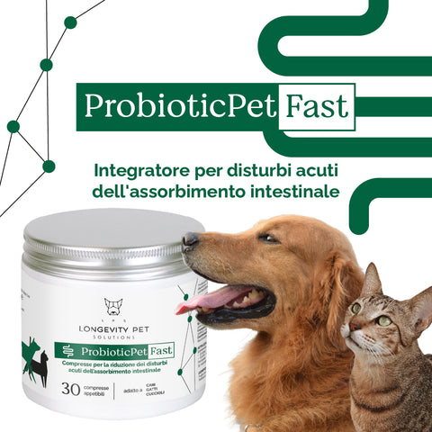 ProbioticPet Fast