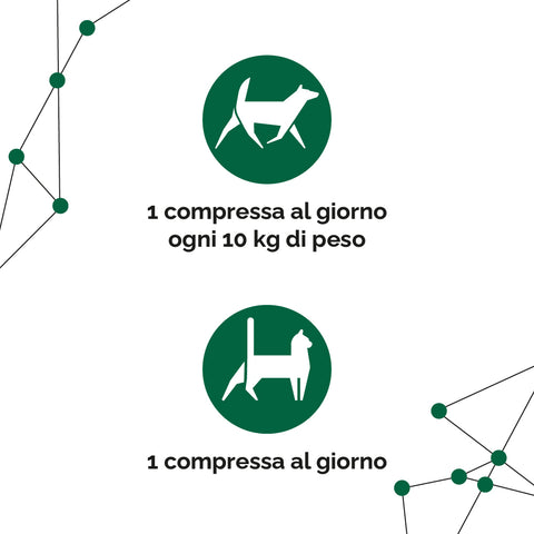 Dosaggio ProbioticPet Fast