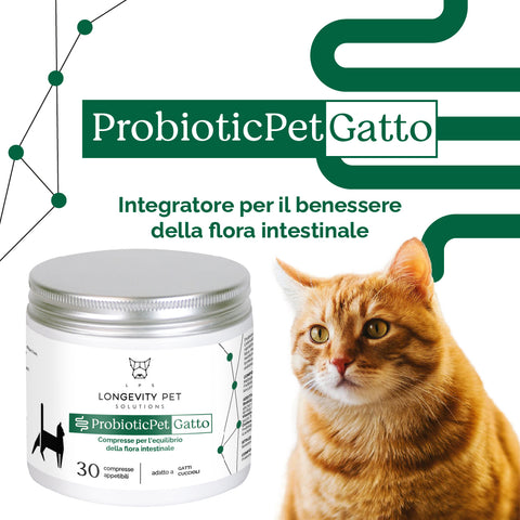 ProbioticPet Gatto