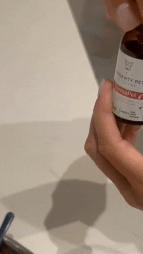 Longevity Pet DermaPet | Integratore per il benessere della cute cane e gatto | Ideale contro prurito, dermatite e perdita di pelo