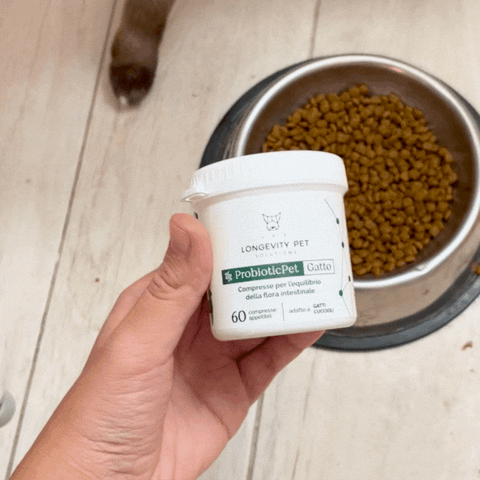 Kit Intestino & Cute | ProbioticPet Gatto + DermaPet