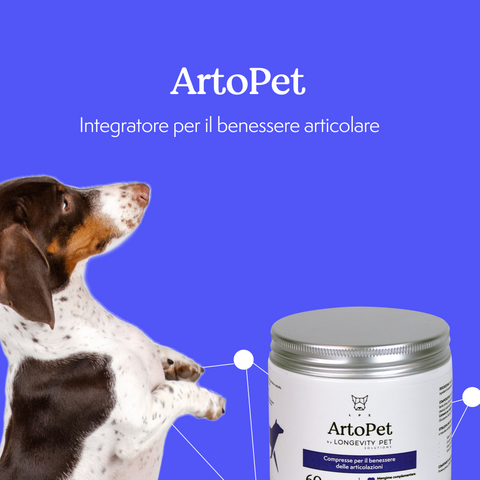 Longevity Pet ArtoPet integratore articolazioni cane e gatto 60 compresse