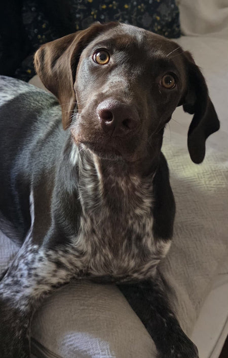 Moka