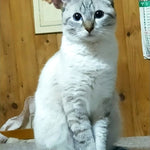 Foto prodotto ricevuto