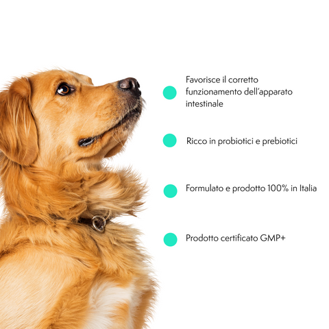 Longevity Pet ProbioticPet integratore equilibrio intestinale cane e gatto 30 o 60 compresse